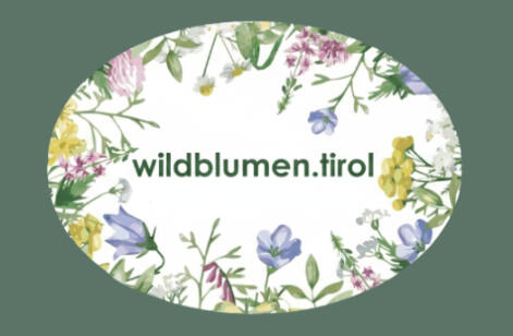 Blutbuche Innsbruck um 1930 - 1950